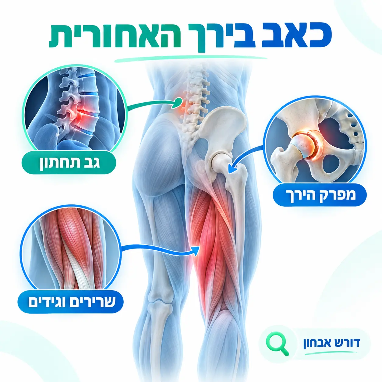 כאבים במפרק הירך | אינפוגרפיקה