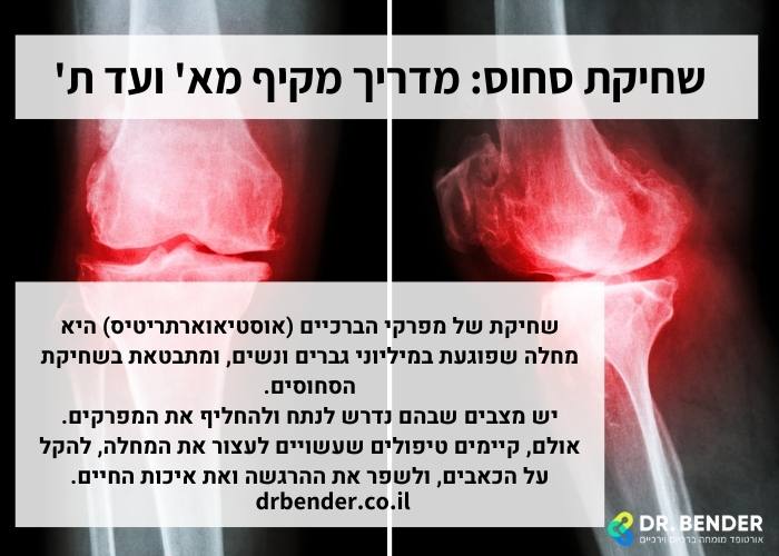 שחיקת סחוס מדריך מקיף מא' ועד ת'