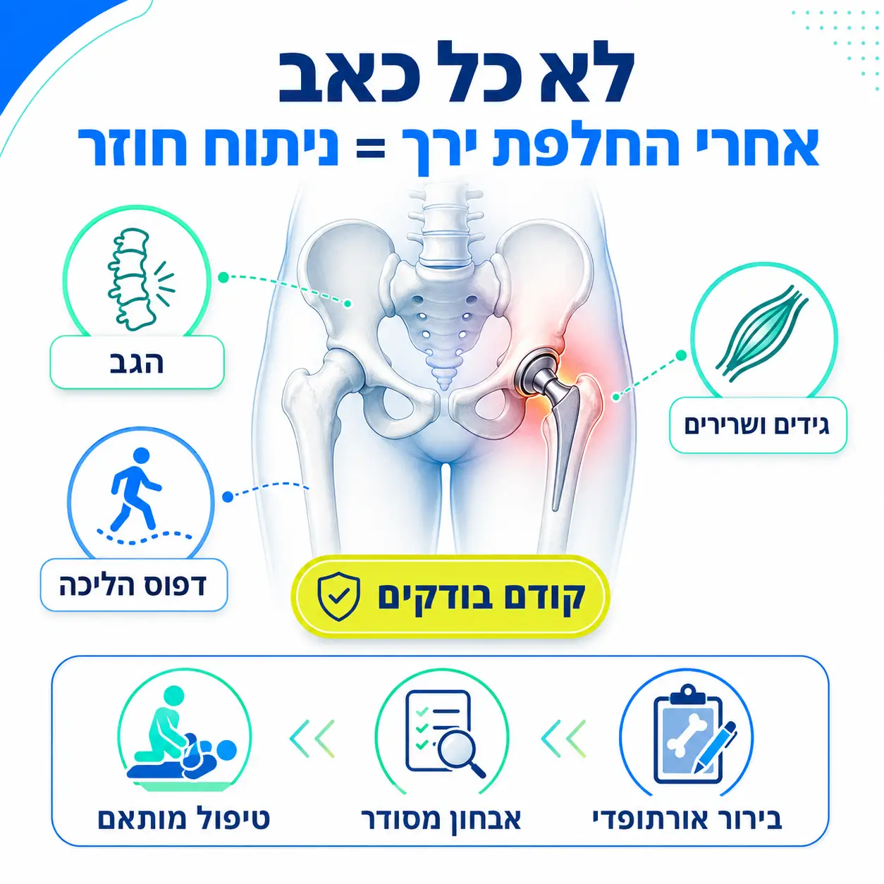 החלפת מפרק ירך פעם שניה | אינפוגרפיקה