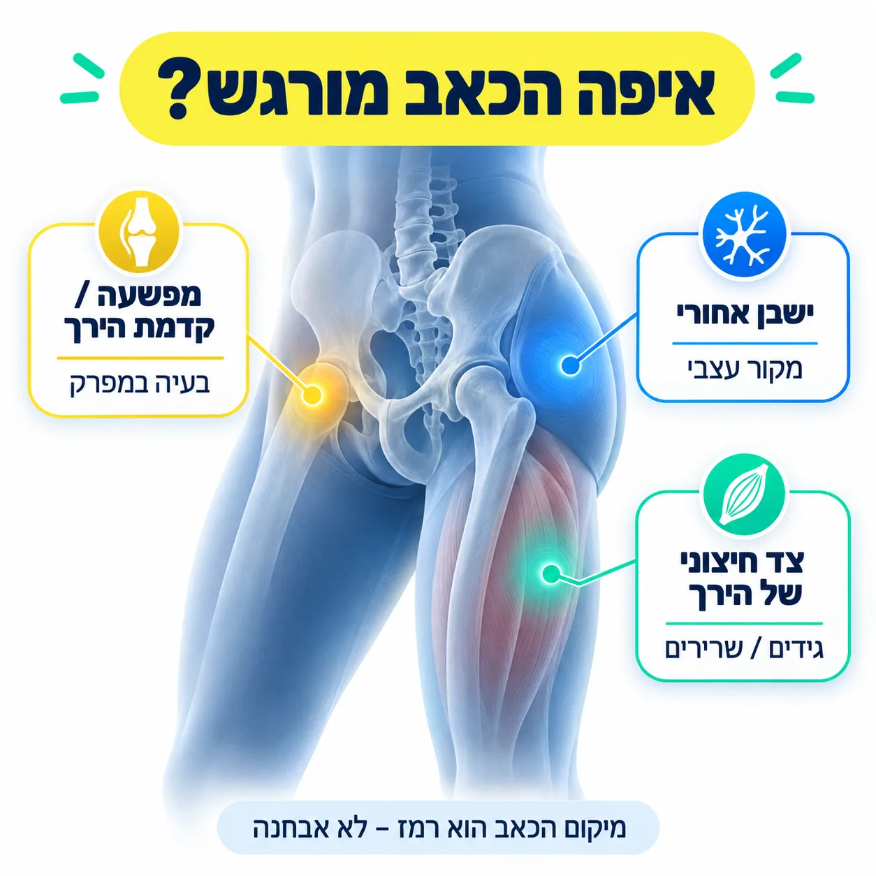 כאבים במפרק הירך בלילה | אינפוגרפיקה